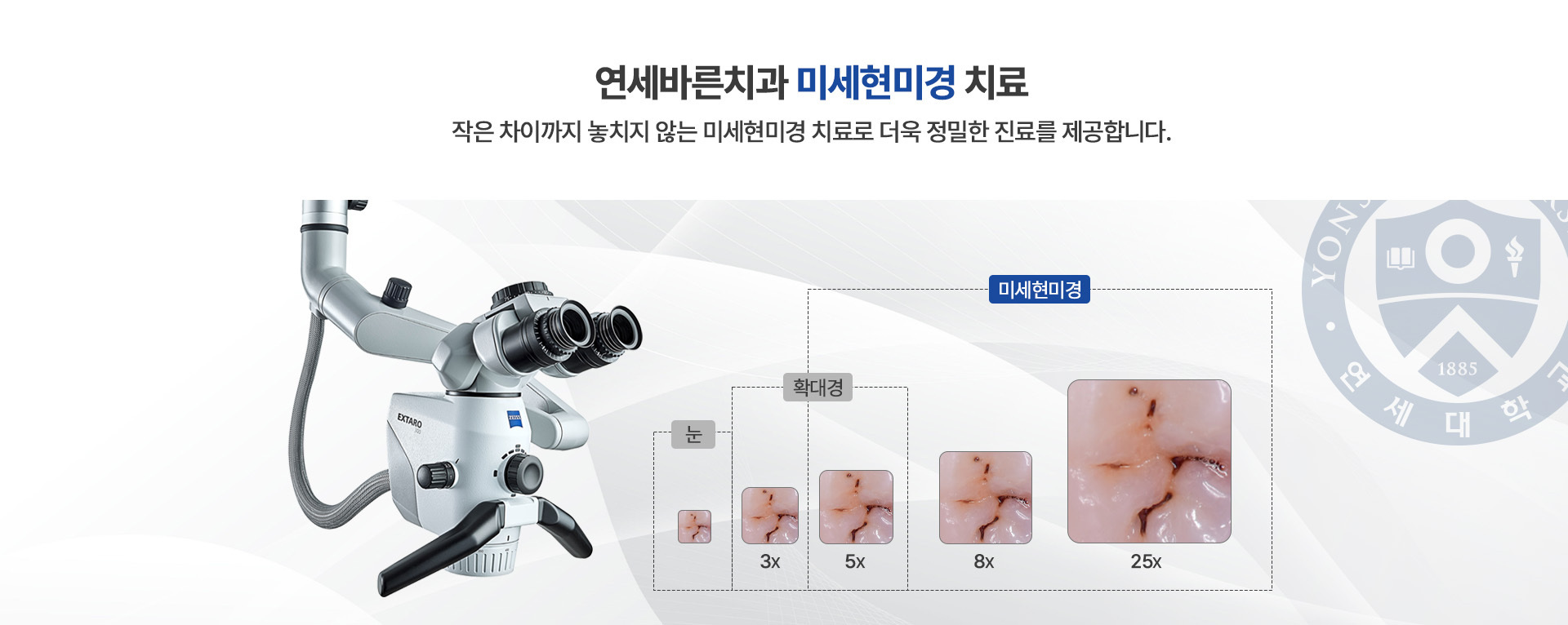이미지명